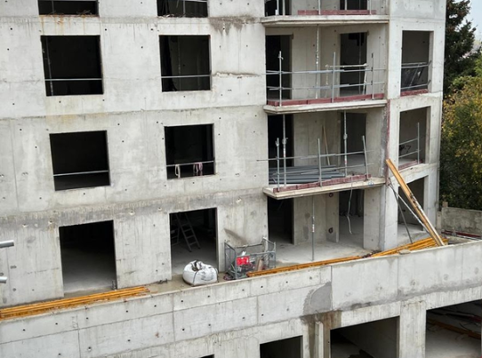 Projet Nympheas IMAGE 6